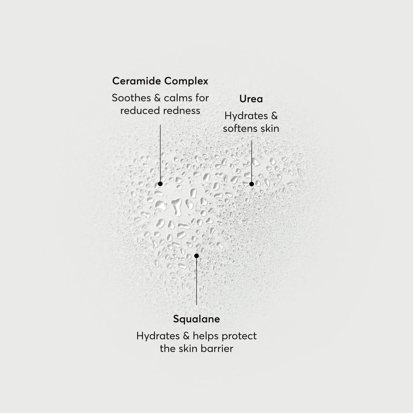 barrier-bounce-bi-phase-mist-e7 NATR-10167-Alt-Images-Barrier-Bounce-Bi-Phase-Toner-Mist_01.webp