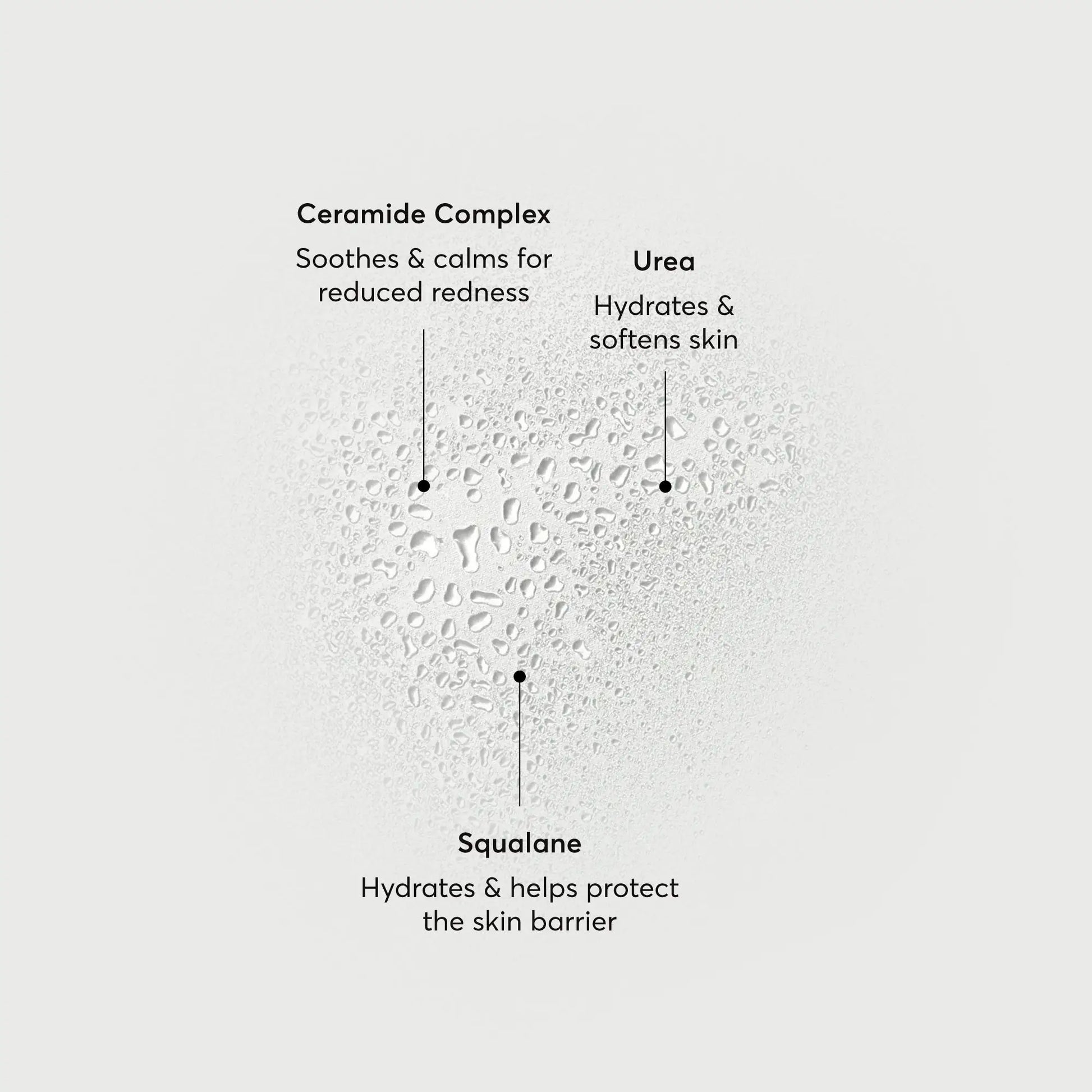 barrier-bounce-bi-phase-mist-e7 NATR-10167-Alt-Images-Barrier-Bounce-Bi-Phase-Toner-Mist_01.webp
