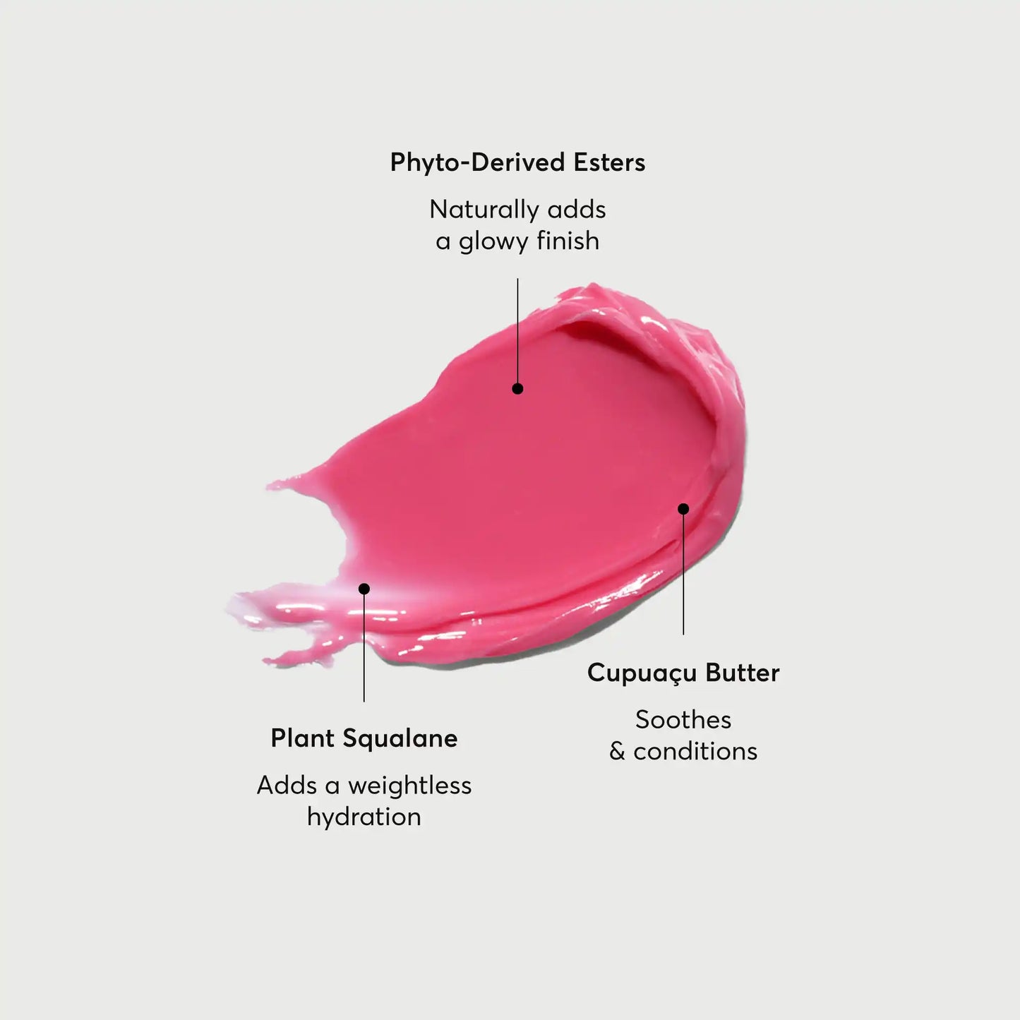 phyto-glow-lip-balm-camellia-p0 NATR-60075-Alt-Images-Phyto-Glow-Lip-Balm-Camellia-01.webp